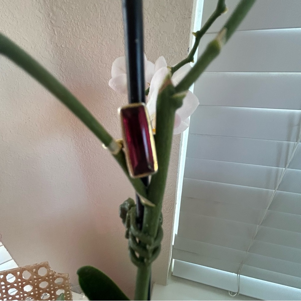 Women’s Gold Ruby Bar Ring